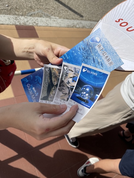 行ってきた！夏休み3歳児と新江ノ島水族館で巨大水槽とイルカショー！