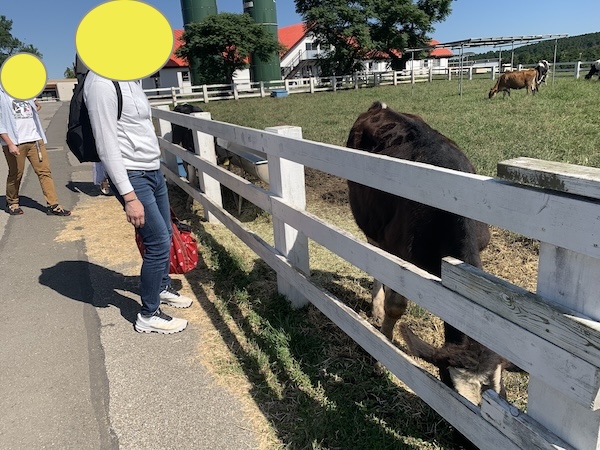 3歳向けのショー＆パフォーマンス